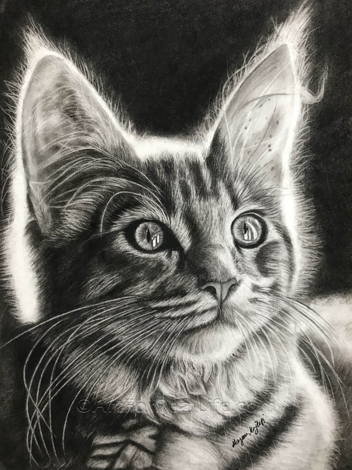 Mysterious Cat Print ArtForRealLife Store
